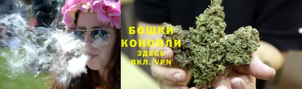скорость Пестово