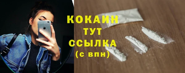 дурь Пересвет