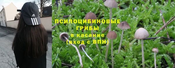 дурь Пересвет