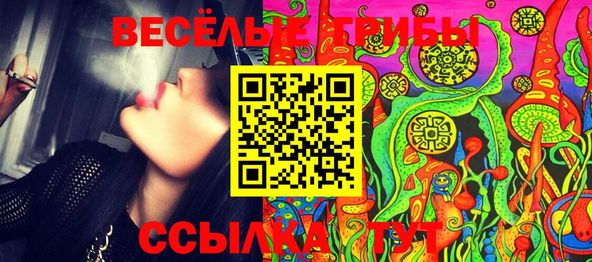 Псилоцибиновые грибы MAGIC MUSHROOMS  Чусовой  Галлюциногенные грибы прущие грибы 