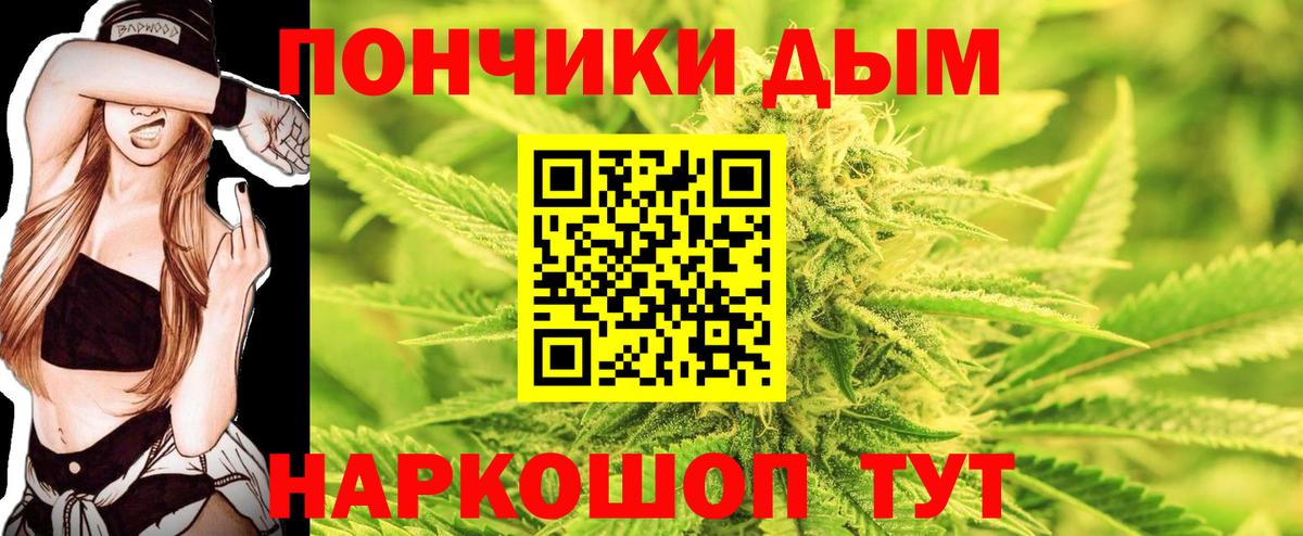 Каннабис Bruce Banner  Чусовой  Каннабис MAZAR  Каннабис THC 21% 